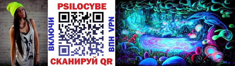 Галлюциногенные грибы Psilocybe  где можно купить   Рыбное 